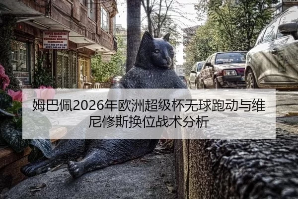mu-ba-pei-nian-ou-zhou-chao-ji-bei-wu-qiu-pao-dong-yu-wei-ni-xiu-si-huan-wei-zhan-shu-fen-xi-2-137.jpg