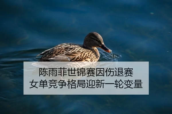 chen-yu-fei-shi-jin-sai-yin-shang-tui-sai-nv-dan-jing-zheng-ge-ju-ying-xin-yi-lun-bian-liang-1-911.jpg